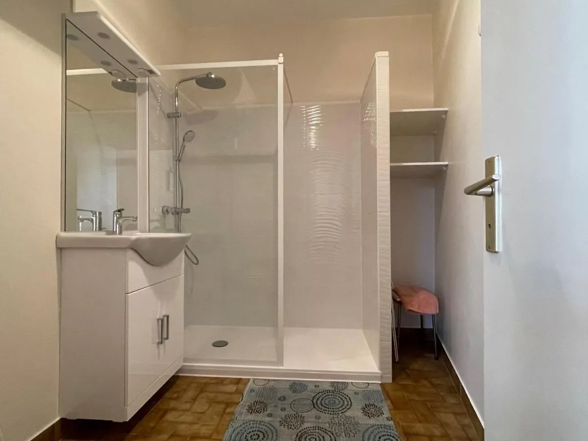 Apartment Spacieux Studio Au Centre-Ville Avec Ascenseur Et Animaux Acceptes - Fr-1-555-79 Aix-les-Bains