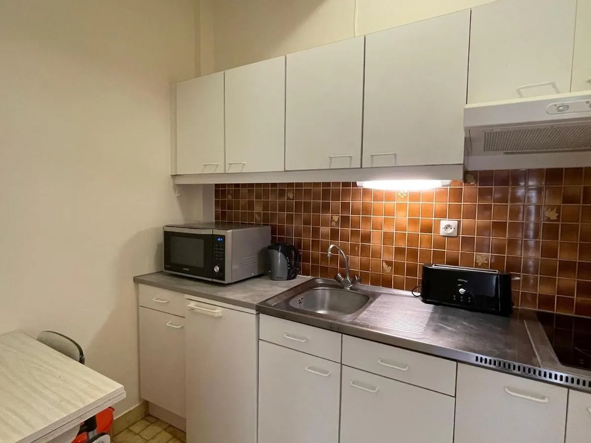Spacieux Studio Au Centre-Ville Avec Ascenseur Et Animaux Acceptes - Fr-1-555-79 Aix-les-Bains Apartment